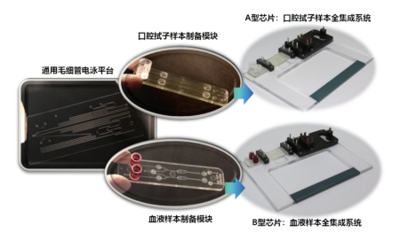 獨創的基於(yu) 微流控毛細管電泳技術的模塊化集成芯片卡盒